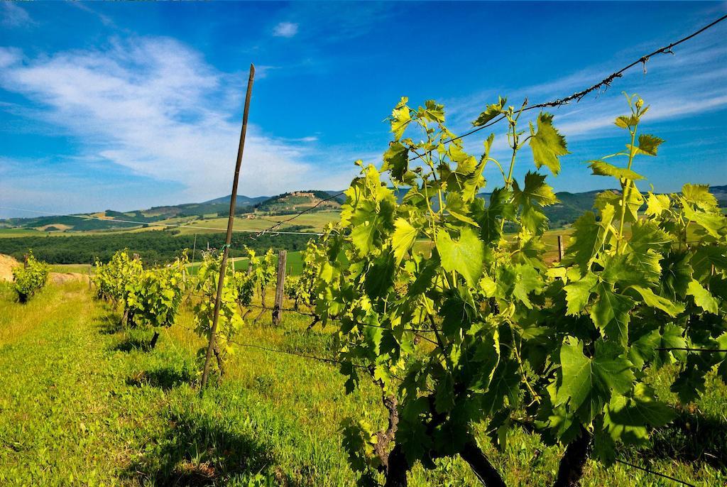 Agriturismo Il Canterino Гуардисталло Экстерьер фото