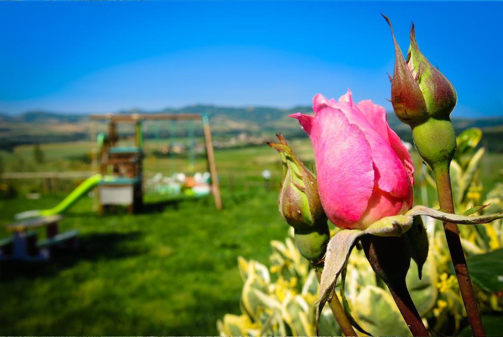 Agriturismo Il Canterino Гуардисталло Экстерьер фото