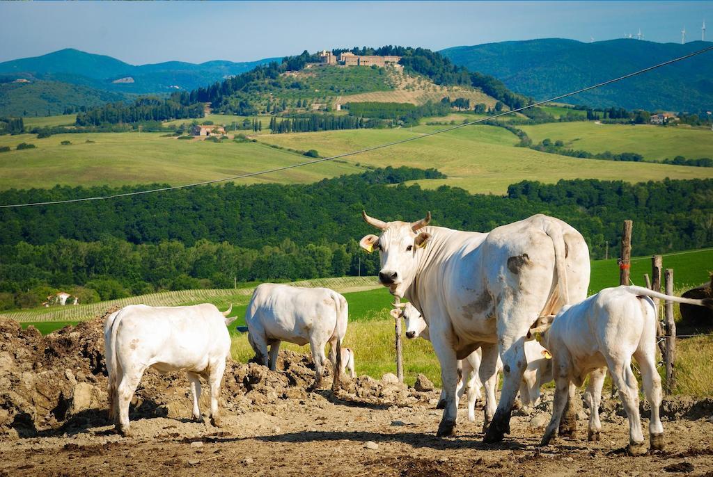 Agriturismo Il Canterino Гуардисталло Экстерьер фото